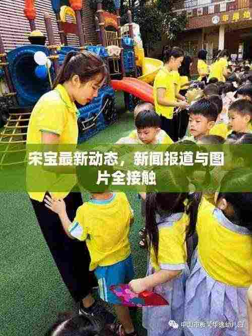 宋宝最新动态,新闻报道与图片全接触