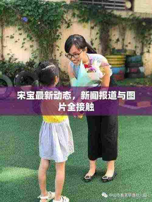 宋宝最新动态,新闻报道与图片全接触