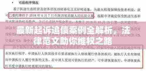 最新起诉追债案例全解析,法律范文助你维权之路