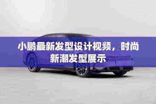 小鹏最新发型设计视频,时尚新潮发型展示