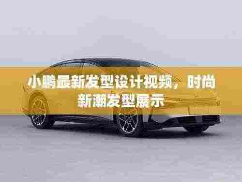 小鹏最新发型设计视频,时尚新潮发型展示