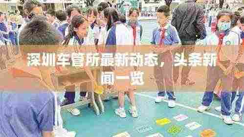 深圳车管所最新动态,头条新闻一览