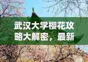 武汉大学樱花攻略大解密，最新观赏指南