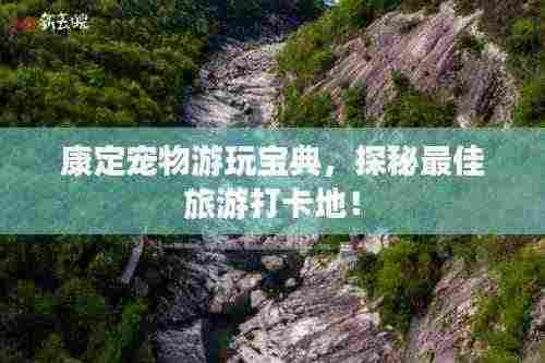 康定宠物游玩宝典,探秘最佳旅游打卡地!