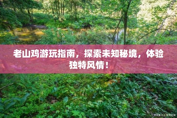 老山鸡游玩指南,探索未知秘境,体验独特风情!
