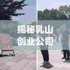 揭秘乳山创业公司排名背后的成功秘诀!