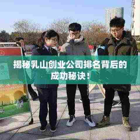 揭秘乳山创业公司排名背后的成功秘诀!