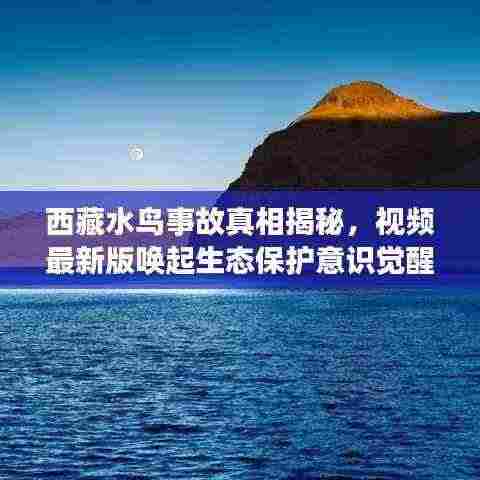西藏水鸟事故真相揭秘，视频最新版唤起生态保护意识觉醒