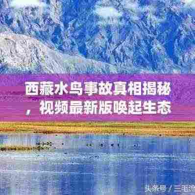 西藏水鸟事故真相揭秘,视频最新版唤起生态保护意识觉醒