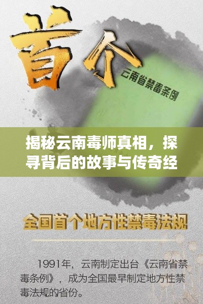 揭秘云南毒师真相，探寻背后的故事与传奇经历