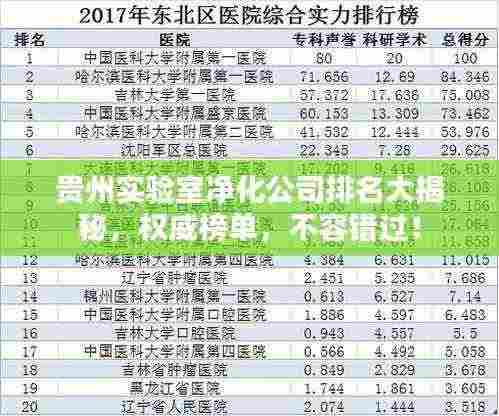 贵州实验室净化公司排名大揭秘,权威榜单,不容错过!