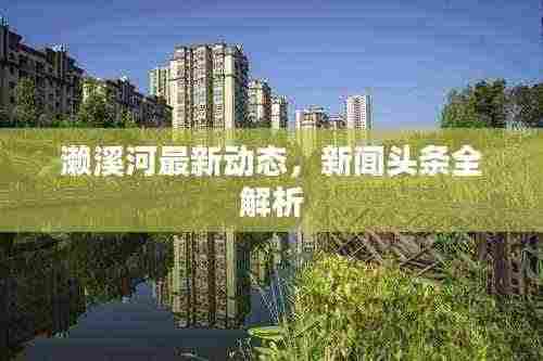 濑溪河最新动态,新闻头条全解析
