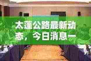 太蓬公路最新动态，今日消息一网打尽