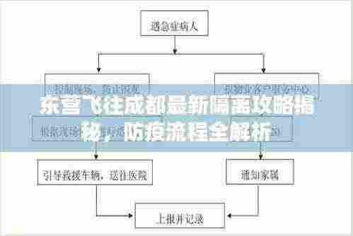 东营飞往成都最新隔离攻略揭秘，防疫流程全解析