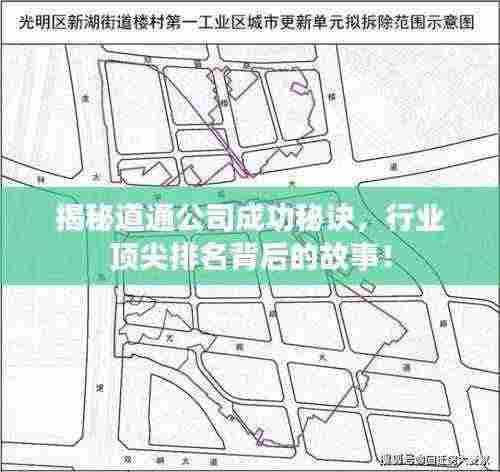 揭秘道通公司成功秘诀,行业顶尖排名背后的故事!
