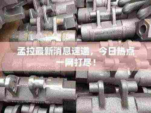 孟拉最新消息速递,今日热点一网打尽!