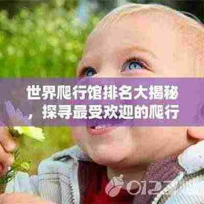 世界爬行馆排名大揭秘，探寻最受欢迎的爬行动物栖息地！