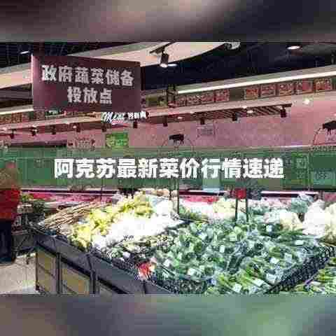 阿克苏最新菜价行情速递