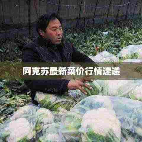 阿克苏最新菜价行情速递