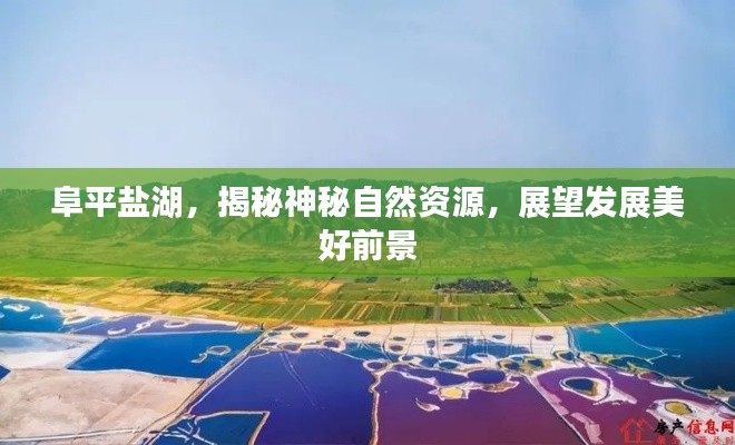 阜平盐湖,揭秘神秘自然资源,展望发展美好前景