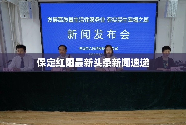 保定红阳最新头条新闻速递