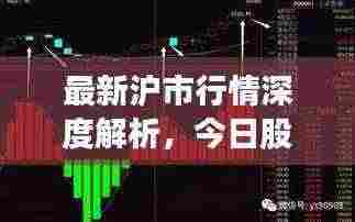 最新沪市行情深度解析，今日股市走势揭秘