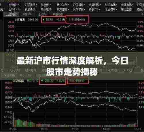 最新沪市行情深度解析,今日股市走势揭秘