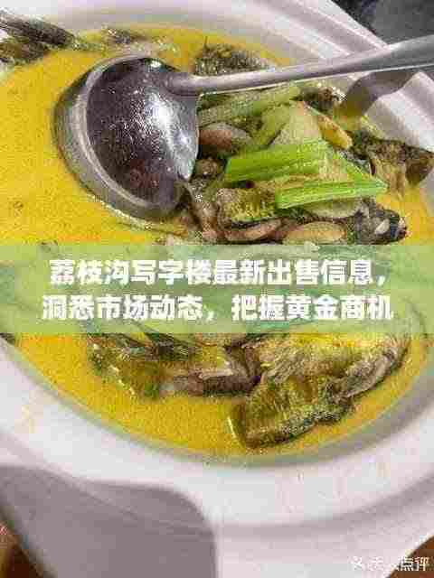 荔枝沟写字楼最新出售信息，洞悉市场动态，把握黄金商机