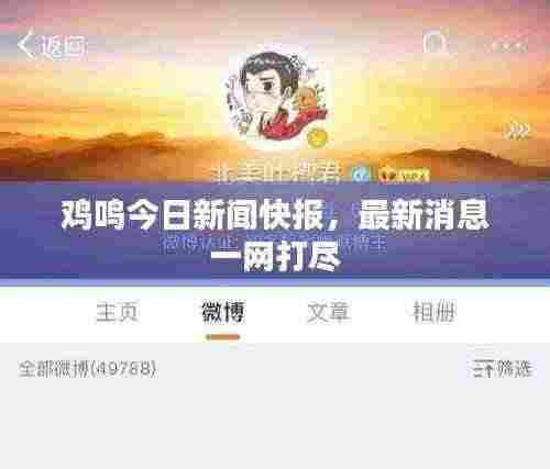 鸡鸣今日新闻快报,最新消息一网打尽