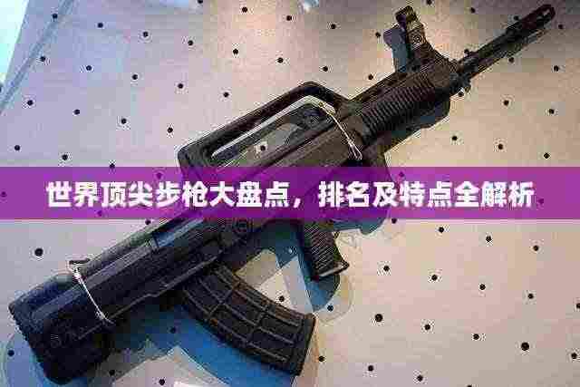 世界顶尖步枪大盘点,排名及特点全解析