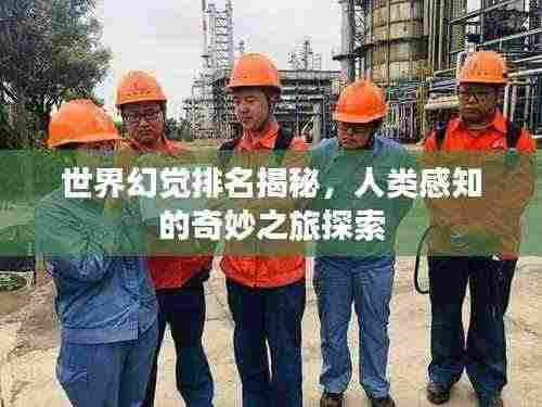 世界幻觉排名揭秘,人类感知的奇妙之旅探索