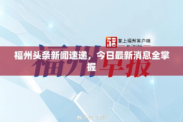 福州头条新闻速递,今日最新消息全掌握