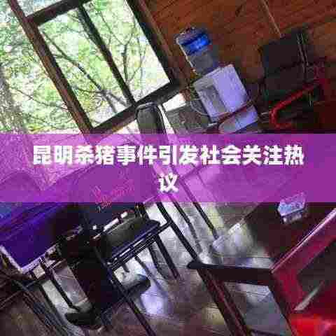 昆明杀猪事件引发社会关注热议