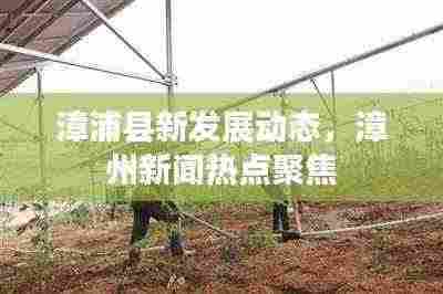 漳浦县新发展动态,漳州新闻热点聚焦