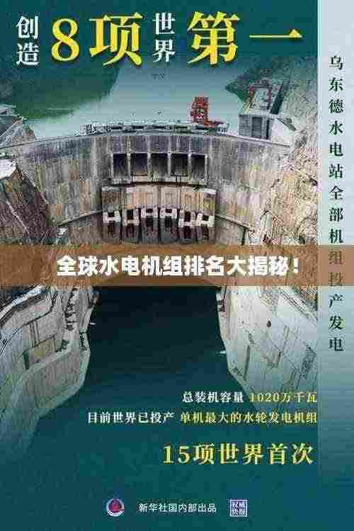 全球水电机组排名大揭秘！