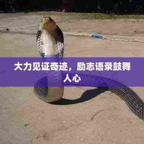 大力见证奇迹,励志语录鼓舞人心