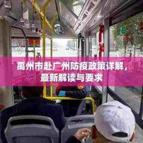 禹州市赴广州防疫政策详解，最新解读与要求