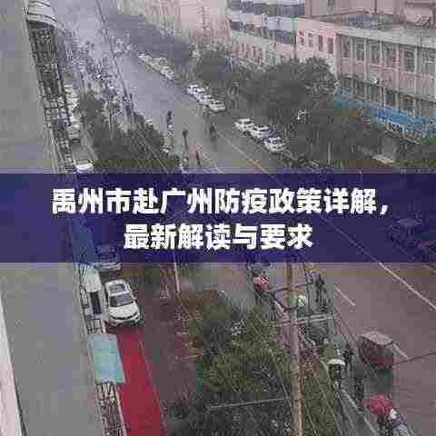 禹州市赴广州防疫政策详解,最新解读与要求