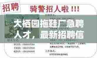 大栖园拖鞋厂急聘人才，最新招聘信息抢先看！