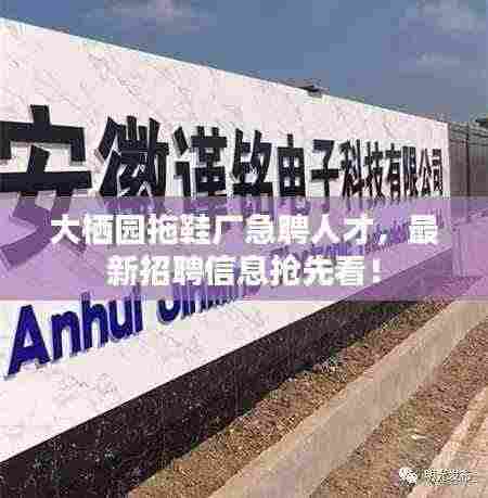 大栖园拖鞋厂急聘人才,最新招聘信息抢先看!