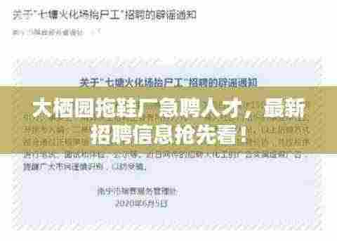 大栖园拖鞋厂急聘人才,最新招聘信息抢先看!