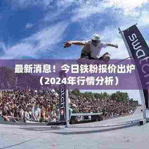 最新消息!今日铁粉报价出炉(2024年行情分析)