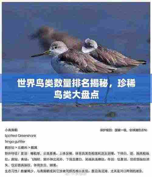 世界鸟类数量排名揭秘，珍稀鸟类大盘点