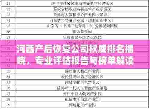 河西产后恢复公司权威排名揭晓，专业评估报告与榜单解读