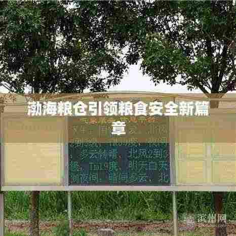 渤海粮仓引领粮食安全新篇章