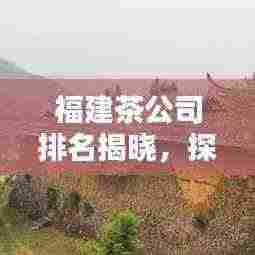 福建茶公司排名揭晓，探寻茶叶巨头，品质之选！