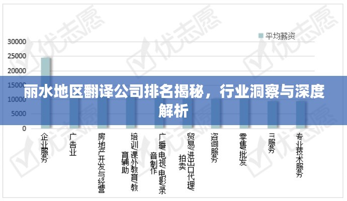 丽水地区翻译公司排名揭秘,行业洞察与深度解析