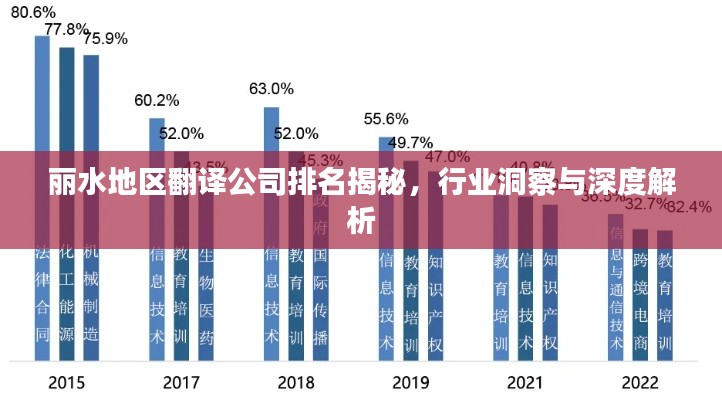 丽水地区翻译公司排名揭秘,行业洞察与深度解析