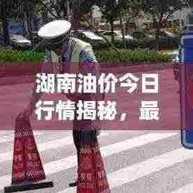 湖南油价今日行情揭秘，最新动态与调整讯息！