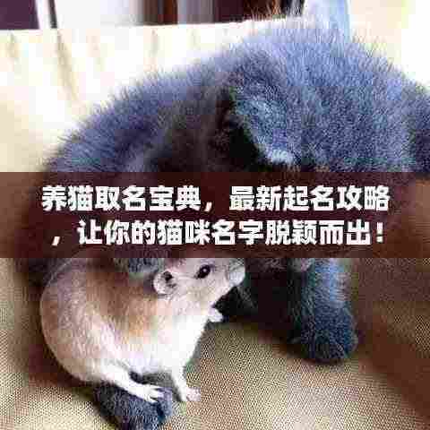 凤鸟不至 第3页